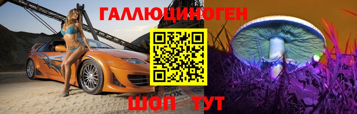 Старая Купавна  Галлюциногенные грибы прущие грибы  Вход с VPN 